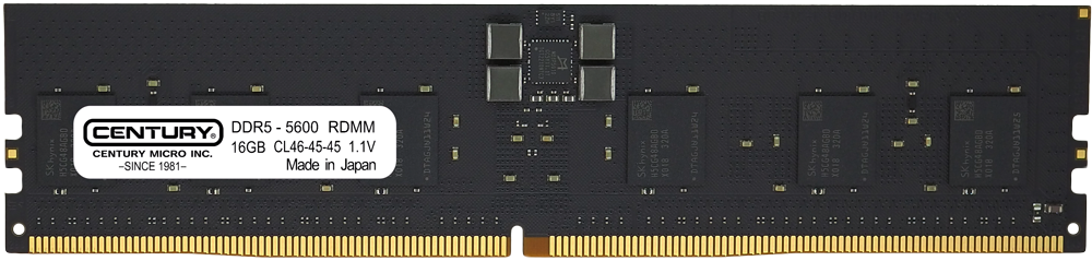 B556R62SG81
